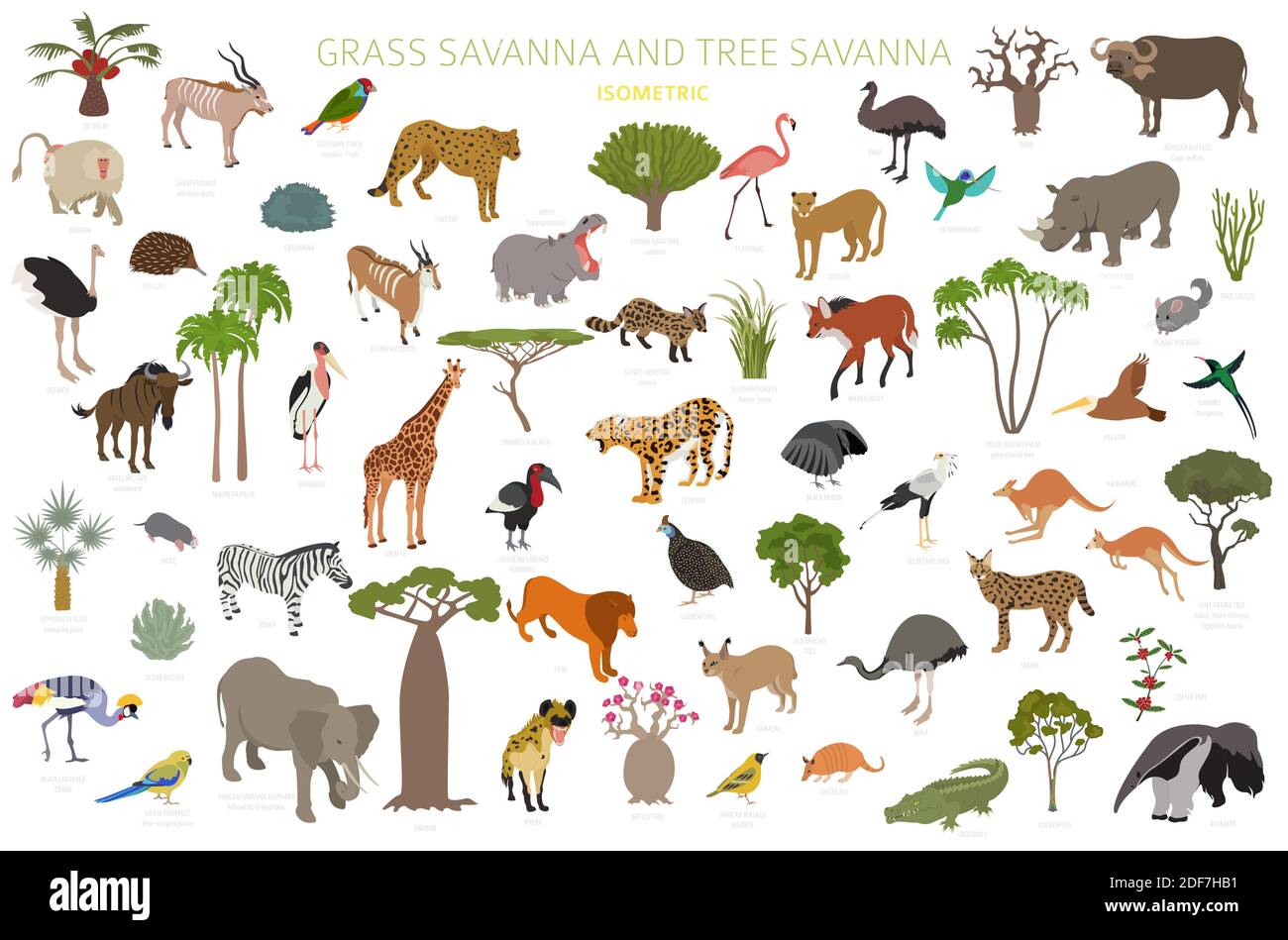 Biome savane d'arbres et savane d'herbe, région naturelle isométrique 3d infographie. Savane des bois et des prairies, prarie, pampa. Animaux, oiseaux et légumes Illustration de Vecteur