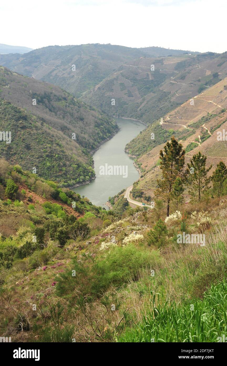 Vue sur la rivière SIL depuis le belvédère de Matacas. Province d'Ourense, Galice, Espagne. Banque D'Images