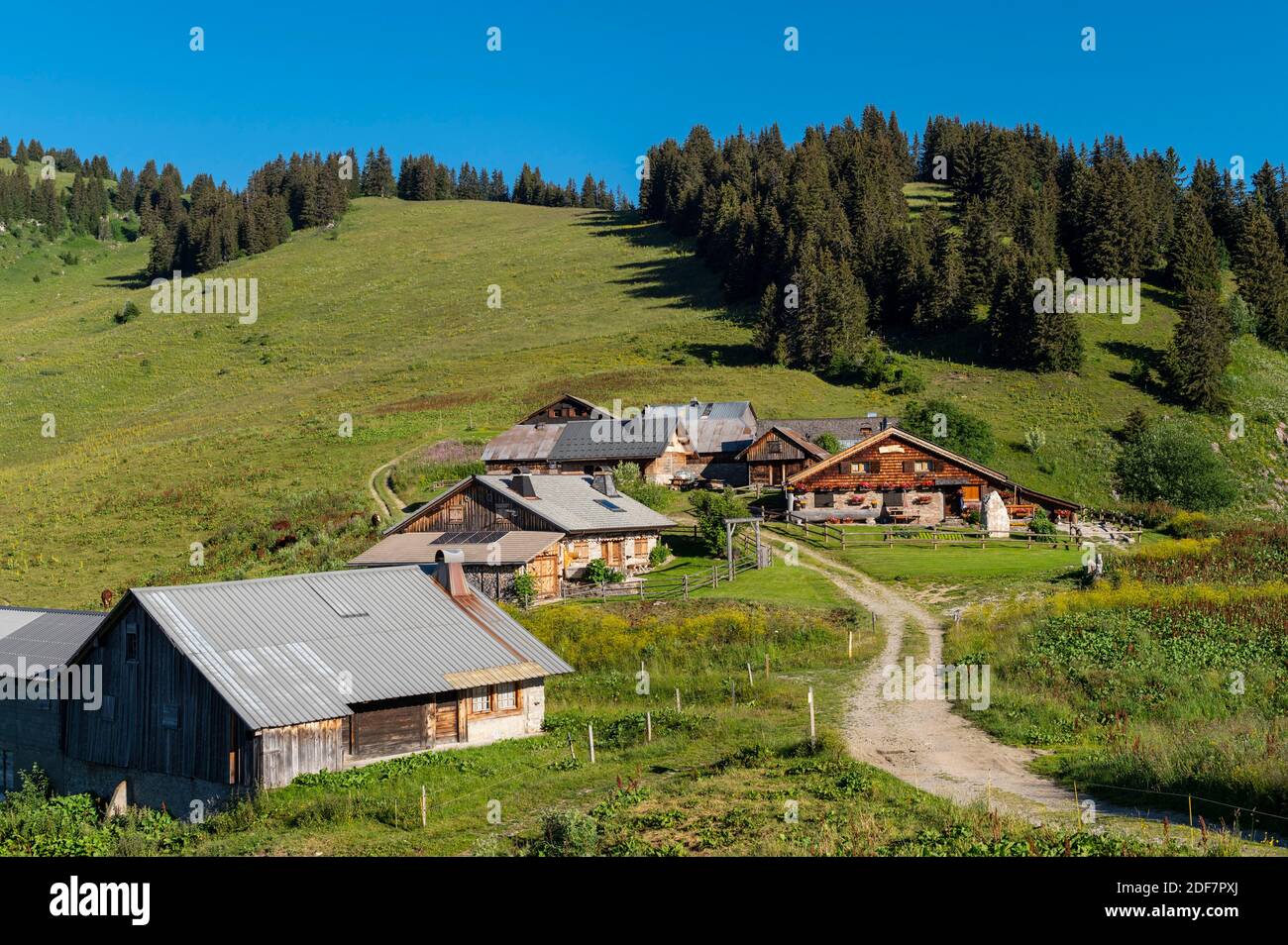 France, haute Savoie, massif du Chablais, Val d'abondance, portes du Soleil, hameau de chalets alpins d'Autigny Banque D'Images
