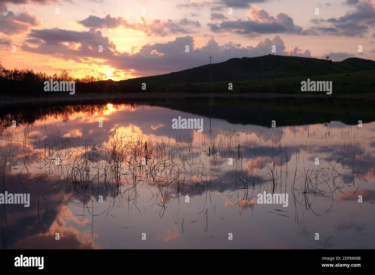 tiges de plantes aquatiques et nuages reflétés dans un petit lac au coucher du soleil Banque D'Images