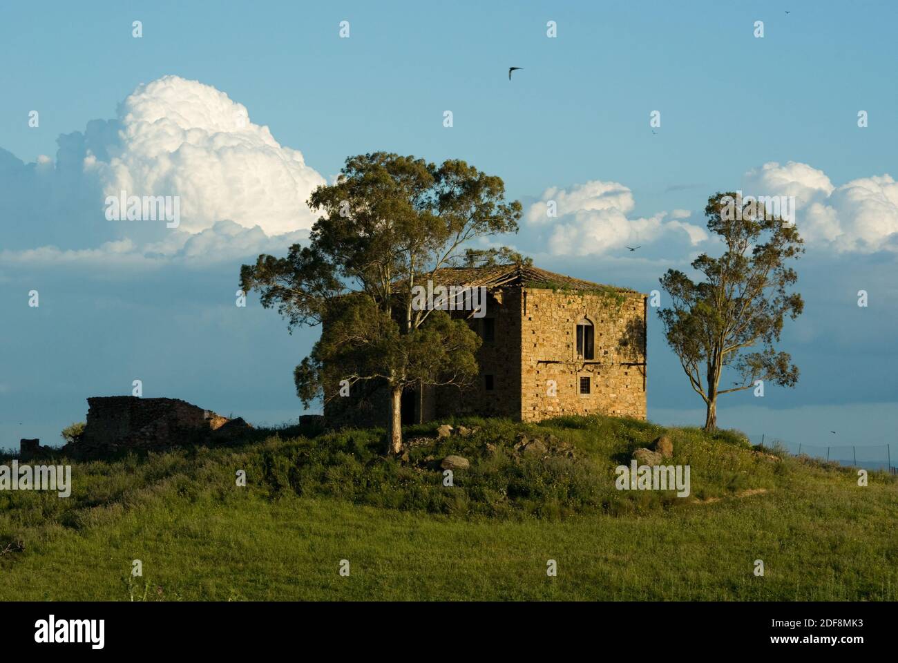 remorquer des arbres et une grande ferme dans le pays Banque D'Images