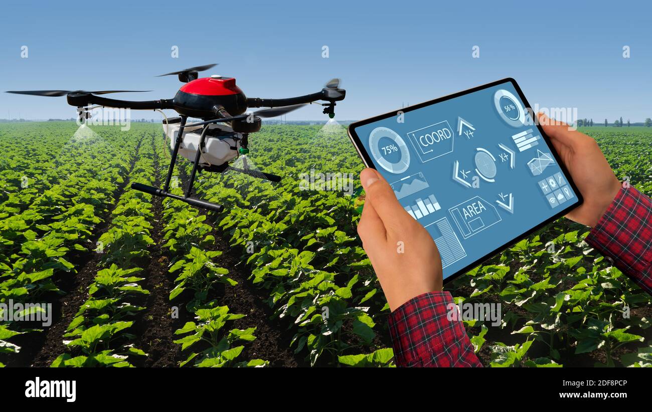 L'agriculteur contrôle le drone avec une tablette. Agriculture intelligente et agriculture de précision Banque D'Images