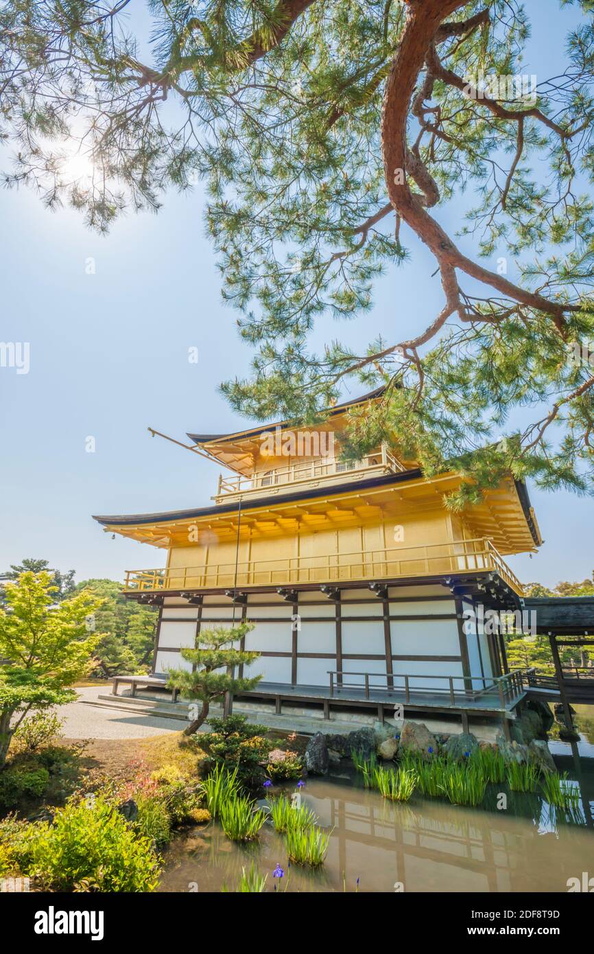 Le Pavillon d'or classé au patrimoine mondial de l'UNESCO, ou Kinkaku-ji, Kyoto, Honshu, Japon Banque D'Images