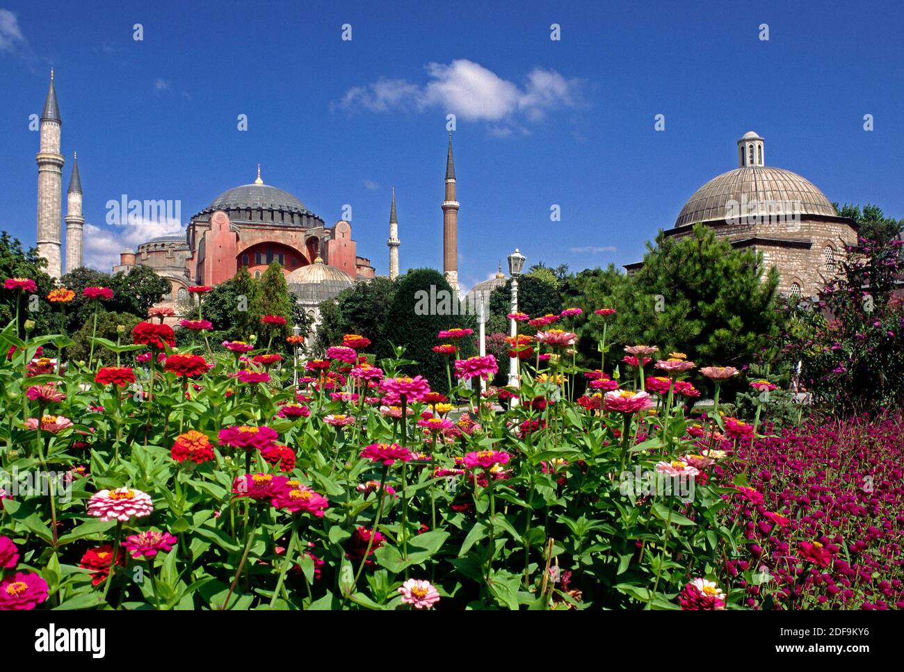 Jardins fleuris et Ayasofya Camii (cathédrale Sainte-Sophie) - église byzantine construite à l'origine en 537 après J.-C. et finalement convertie en mosquée - Istanbul Banque D'Images