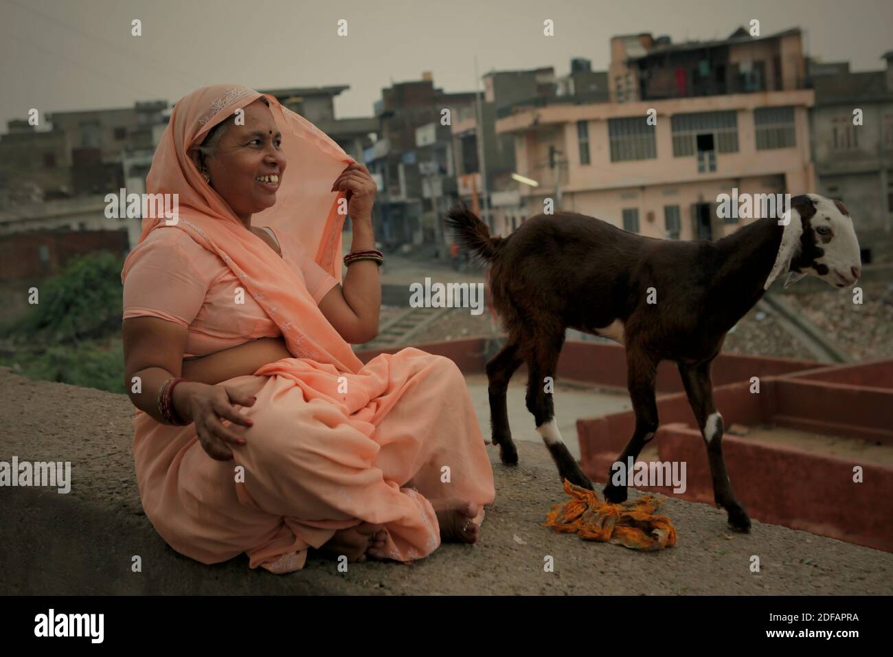 Portrait d'une femme assise sur un mur de béton avec une chèvre, sur le côté d'une route menant à Surya Mandir (Temple du Soleil) au Rajasthan, en Inde. Banque D'Images