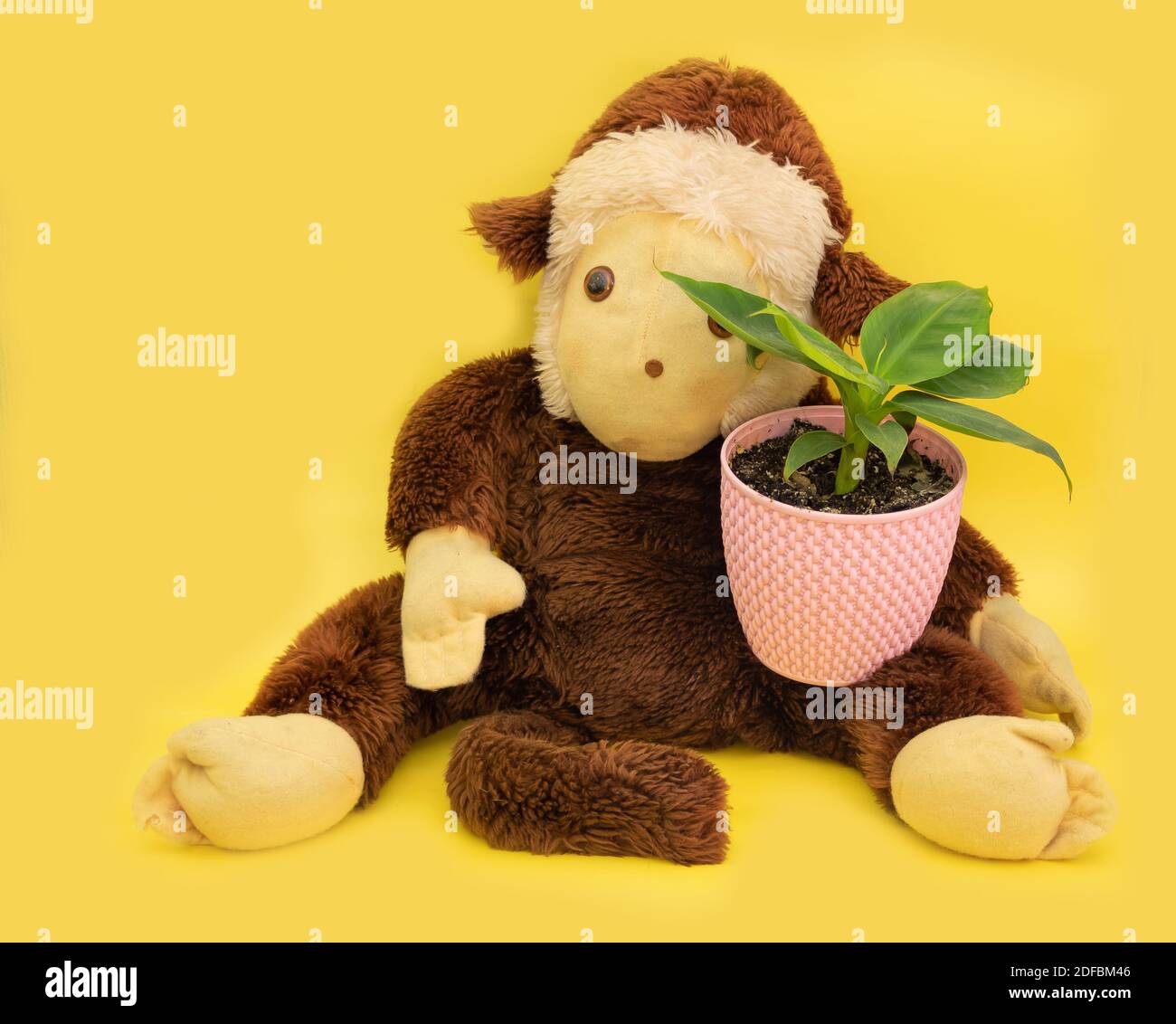Singe en peluche avec une plante de banane sur fond jaune Photo Stock -  Alamy