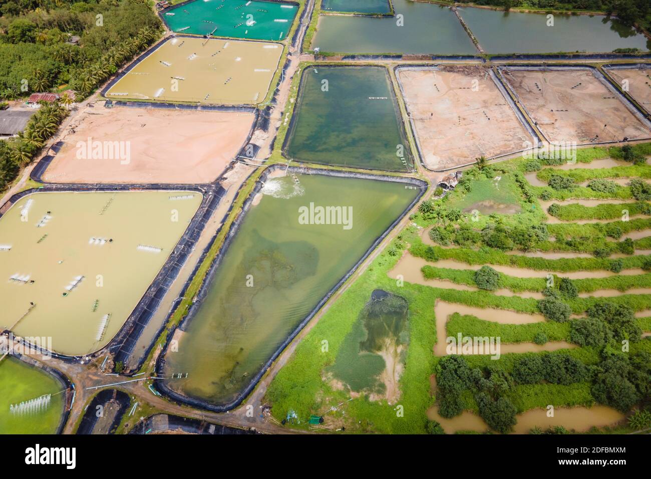 Vue aérienne d'une ferme industrielle de crevettes en Thaïlande Banque D'Images