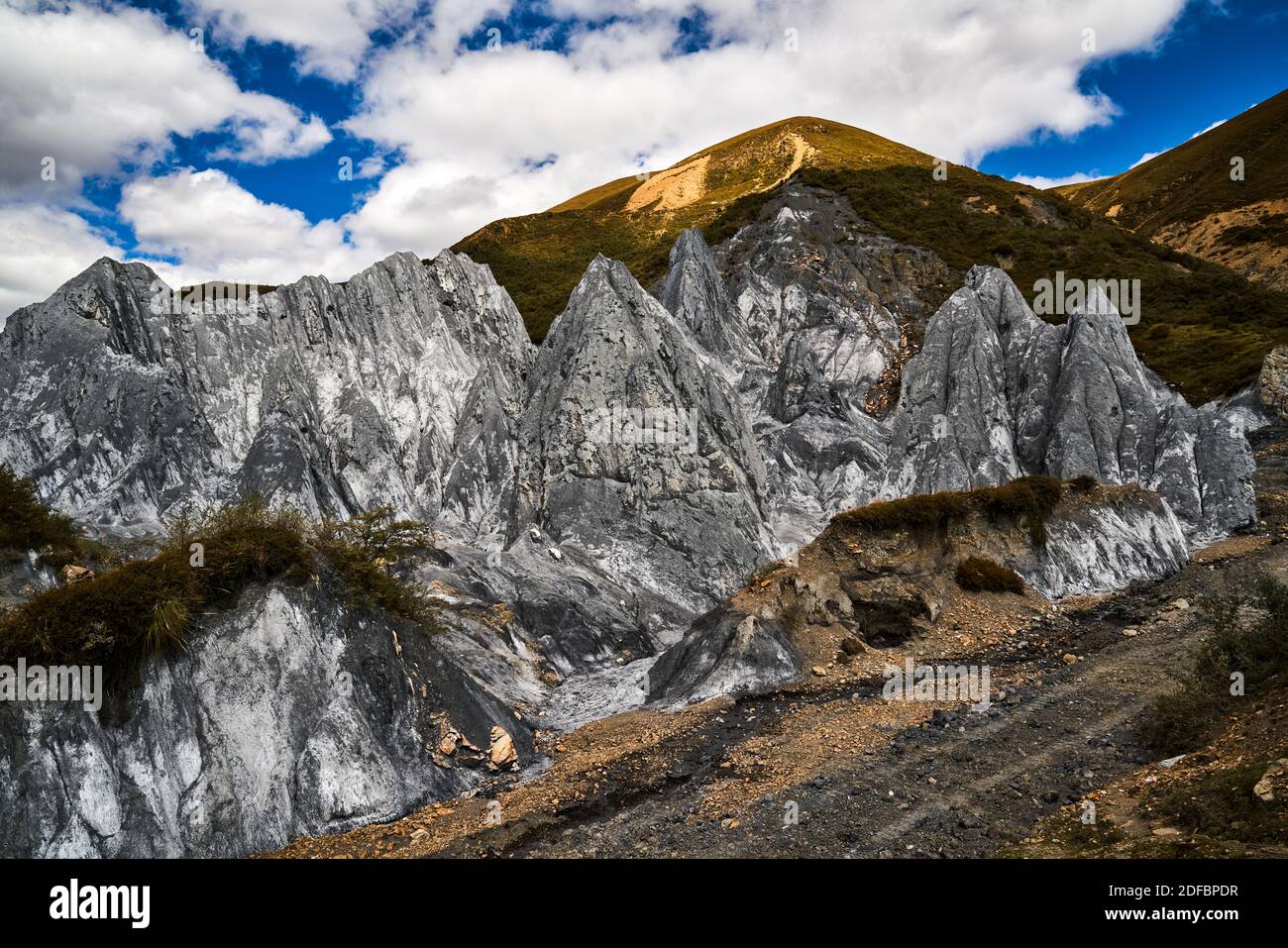 La forêt de pierres de Bamei est le seul paysage forestier de pierre de plateau de Chine, un parc géologique impressionnant et unique appelé Moshi Park (forêt de pierres). Banque D'Images
