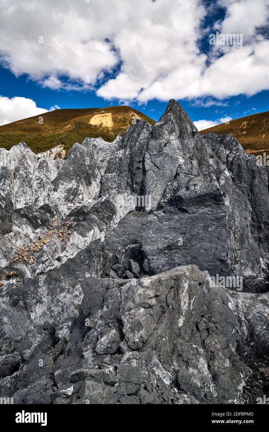 La forêt de pierres de Bamei est le seul paysage forestier de pierre de plateau de Chine, un parc géologique impressionnant et unique appelé Moshi Park (forêt de pierres). Banque D'Images