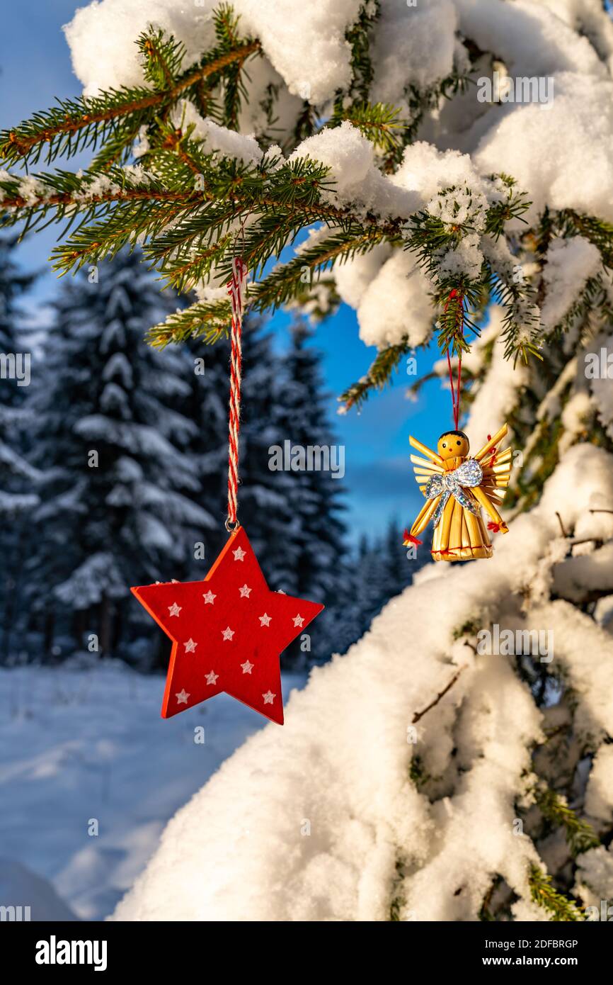 Weihnachten, Christbaumschmuck am Tannenbaum im frisch verschneiten Wald. Roter Stern und Strohengel. Décoration de Noël dans la forêt enneigée. angel Banque D'Images
