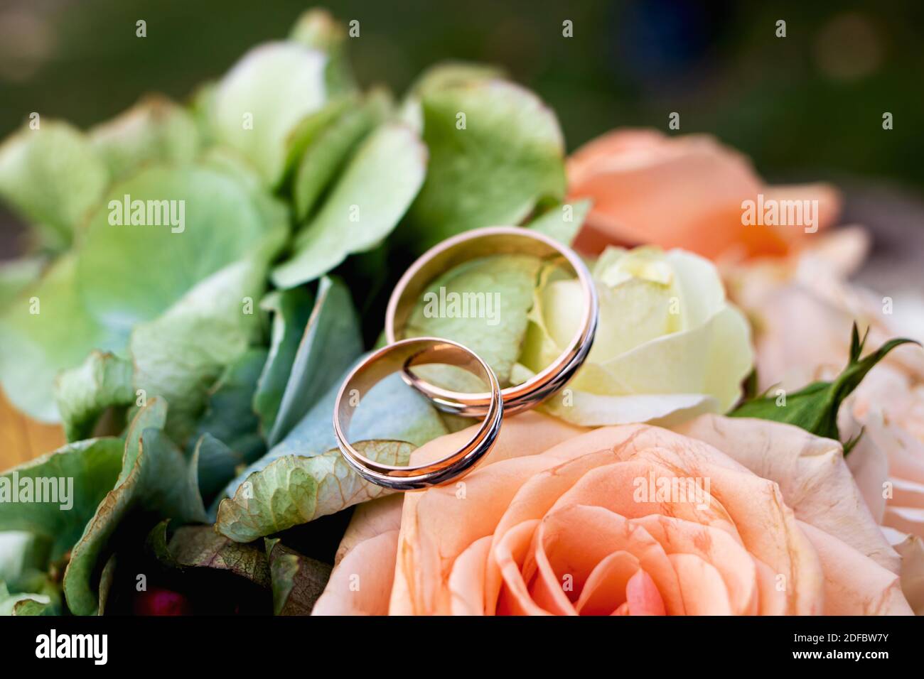 Anneaux de la mariée et du marié sur une belle fleur rose légère le jour du mariage. Traditions de mariage Banque D'Images