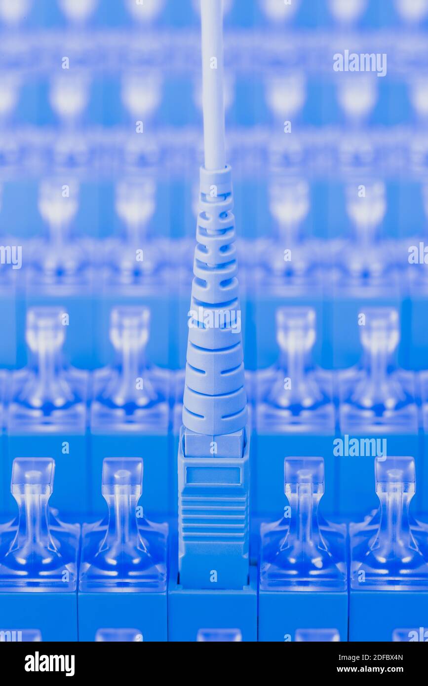 Gros plan du panneau de raccordement à fibre optique Banque D'Images