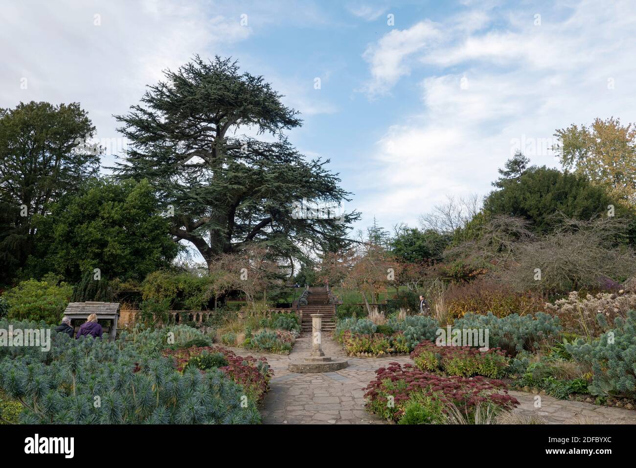 The Old English Garden in the Rookery at Streatham Common le 9 novembre 2020 à Londres au Royaume-Uni. Photo de Sam Mellish Banque D'Images