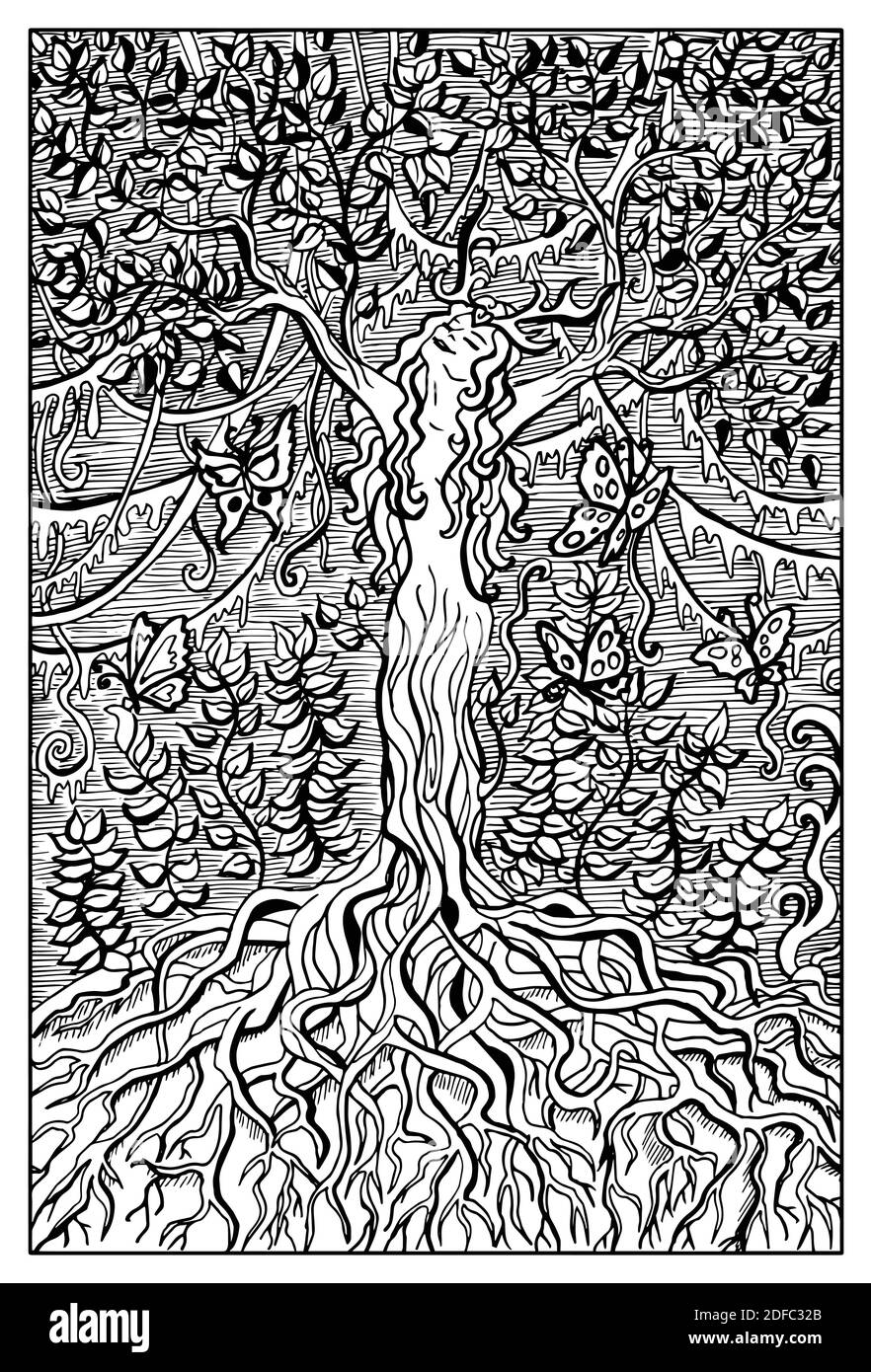 Dryad. Illustration fantaisie noire et blanche gravée avec créatures et personnages mythologiques Illustration de Vecteur