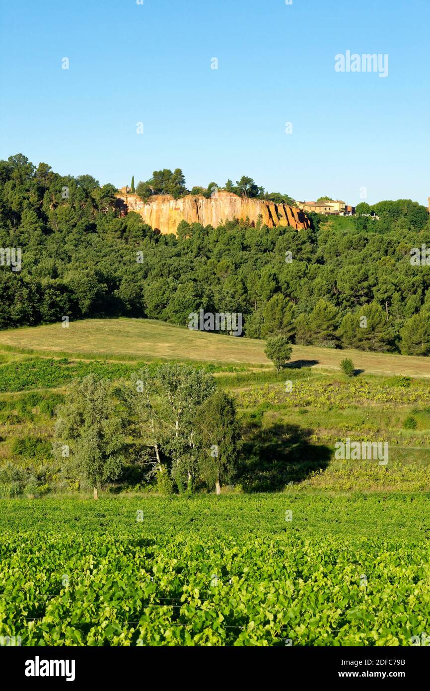 France, Vaucluse, Parc naturel régional du Luberon, Roussillon et son vignoble, a marqué les plus beaux villages de France Banque D'Images