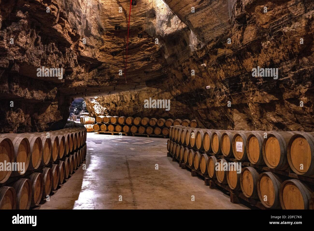 France, Occitania, Aude, Portel-des-Corbières, la cave à vin de Terra Vinea  est située à 80 mètres de profondeur dans des grottes de gypse Photo Stock  - Alamy