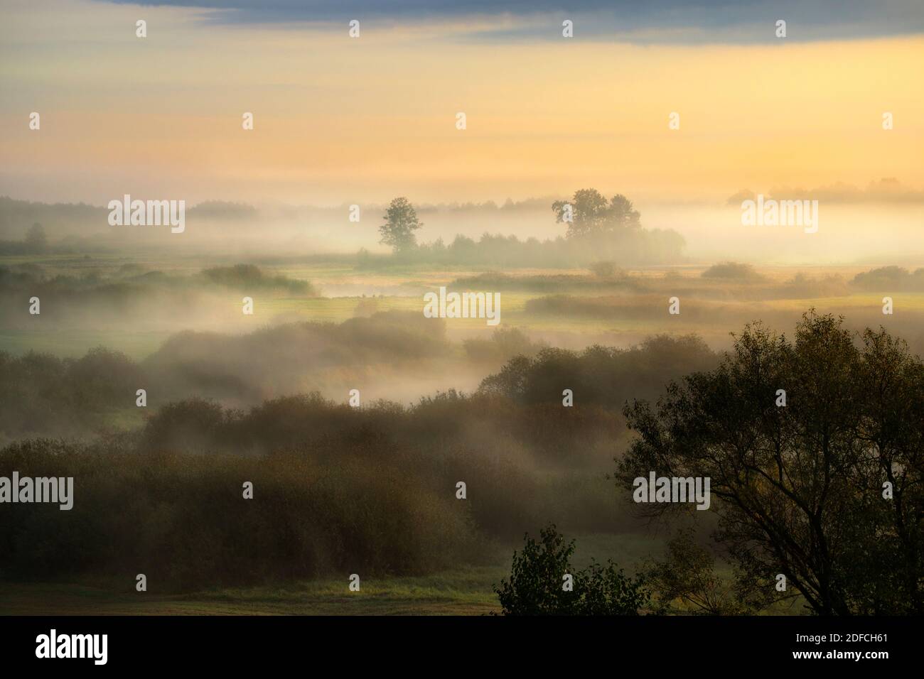 Paysage, brouillard, brouillard, lever de soleil brumeux, beau matin, nuages, ciel Banque D'Images