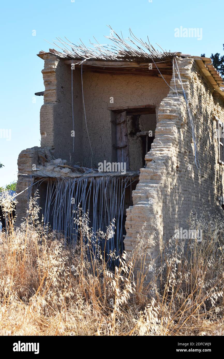 Grains de blé glising au soleil. Banque D'Images
