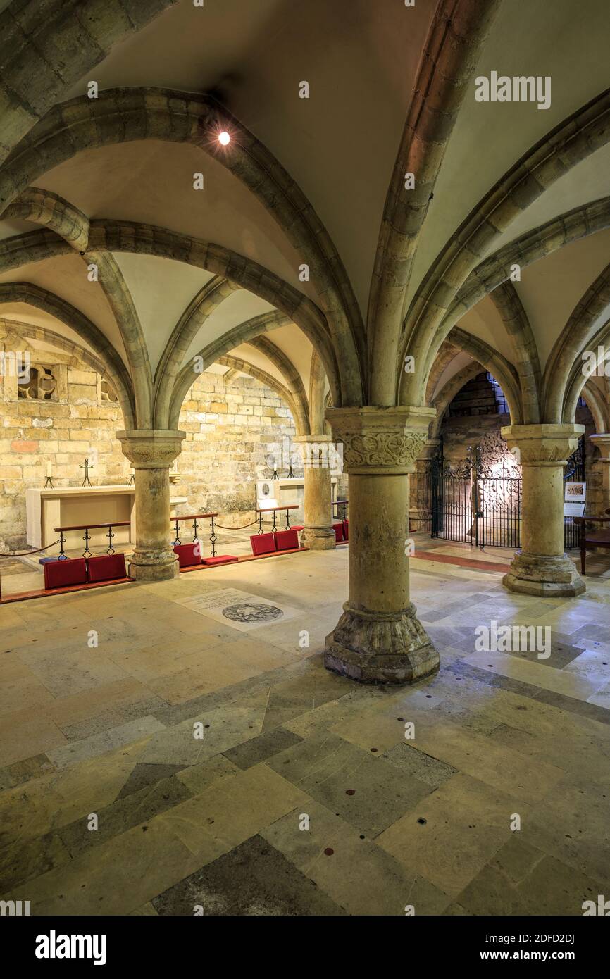Arches et colonnes, crypte, York Minster (cathédrale et église Metropolitique de Saint Pierre), York, Yorkshire, Angleterre, Royaume-Uni Banque D'Images