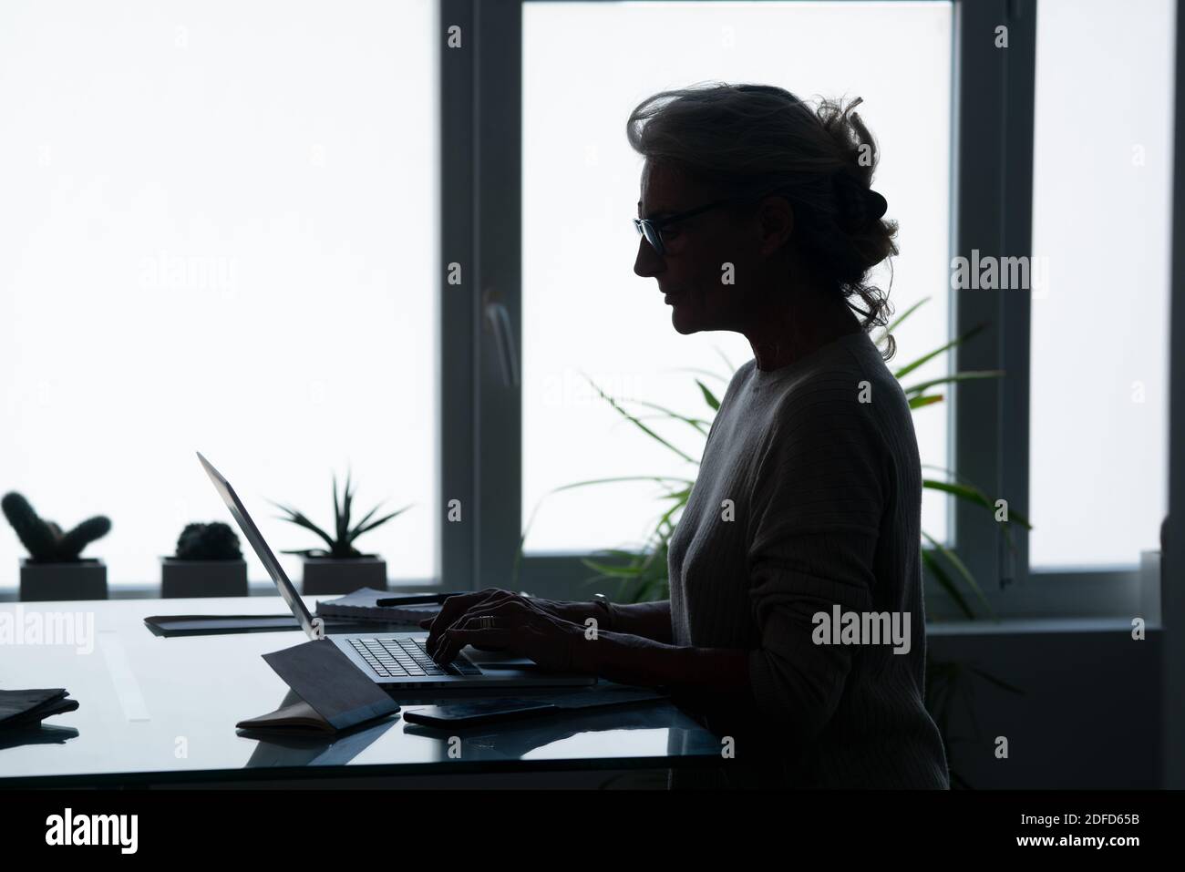 Femme d'affaires senior avec lunettes à l'aide d'un ordinateur. Banque D'Images
