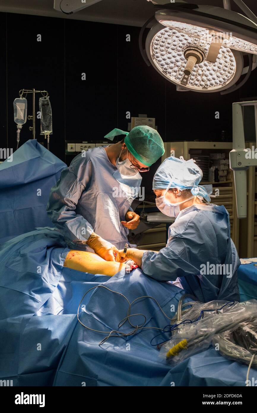 La chirurgie rénale conservatrice robotique guidée par l'image assistée par la modélisation 3D, cette modélisation 3D du rein avec sa tumeur située en violet, guide les s. Banque D'Images