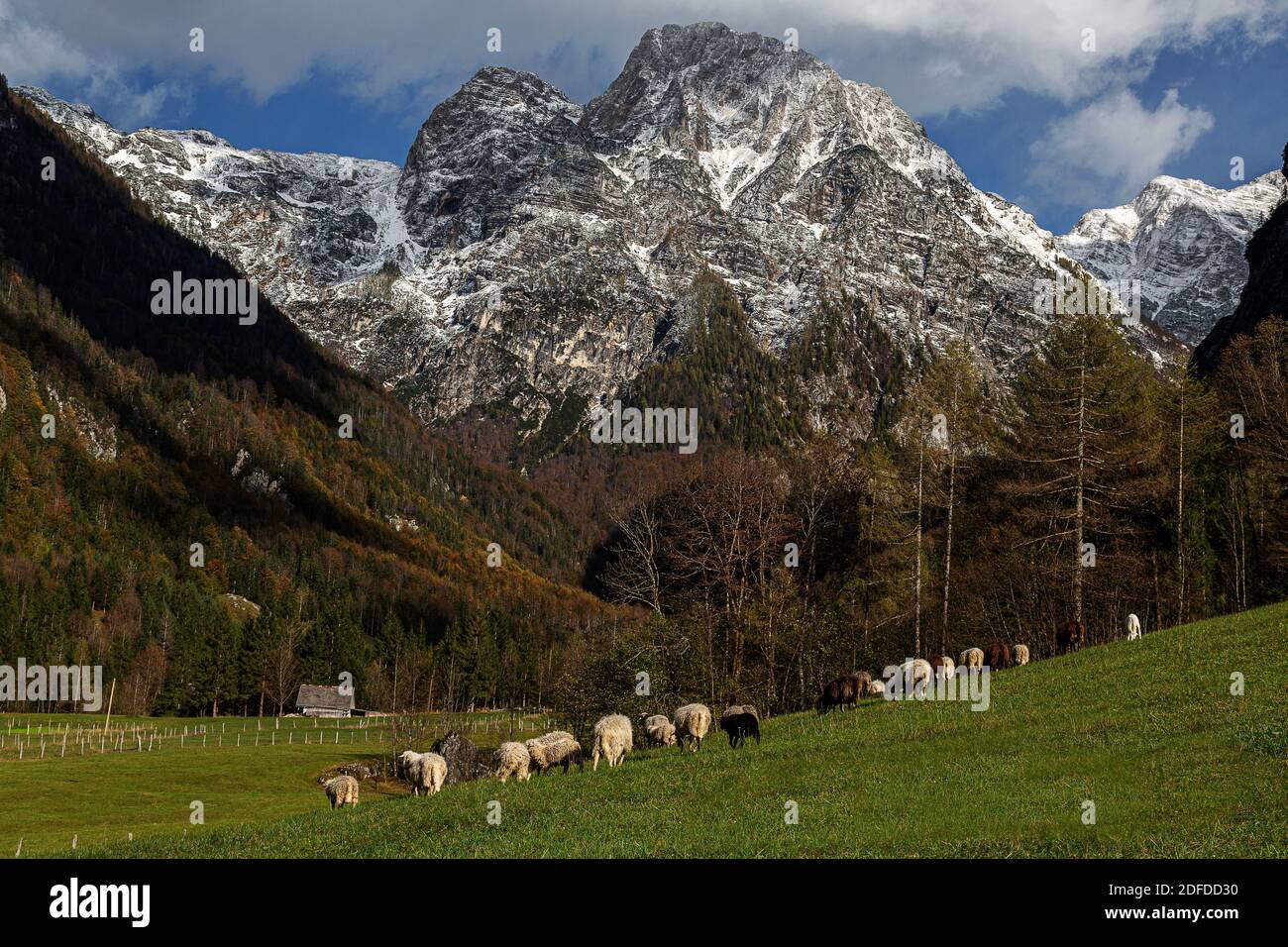 Les Alpes Juliennes en Slovénie Banque D'Images