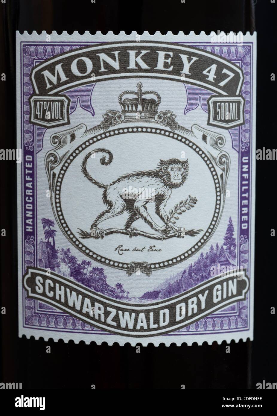Singe 47 gin - gros plan de l'étiquette Banque D'Images