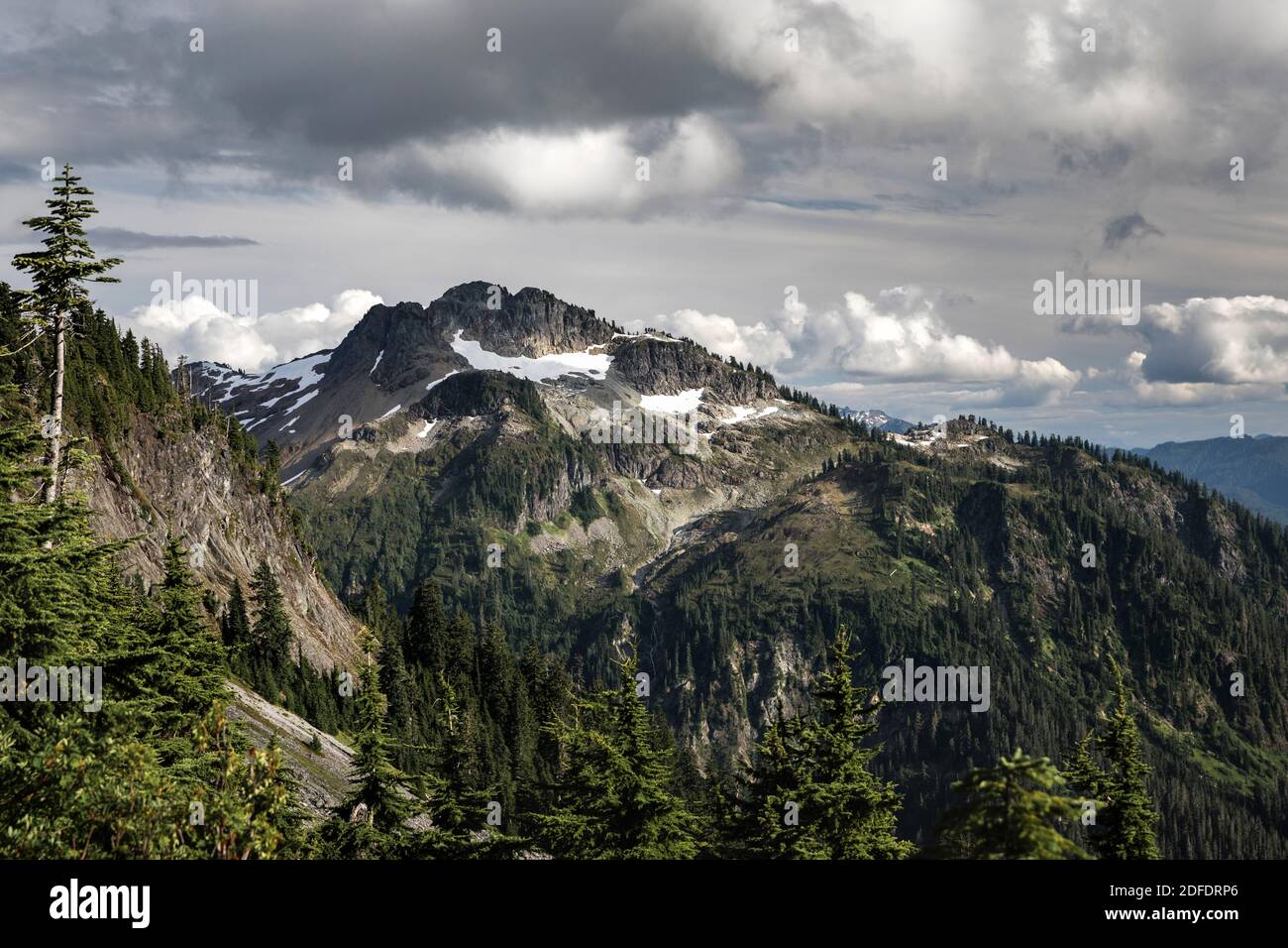 Vue sur les montagnes rocheuses couvertes d'arbres depuis Artist's point à Washington Banque D'Images