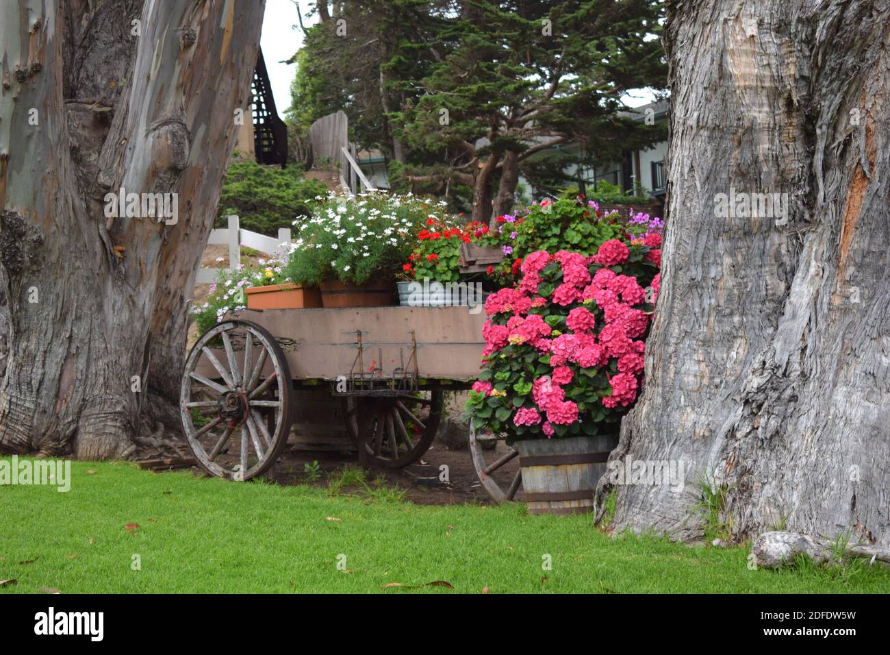 Carmel by the Sea, CA Banque D'Images