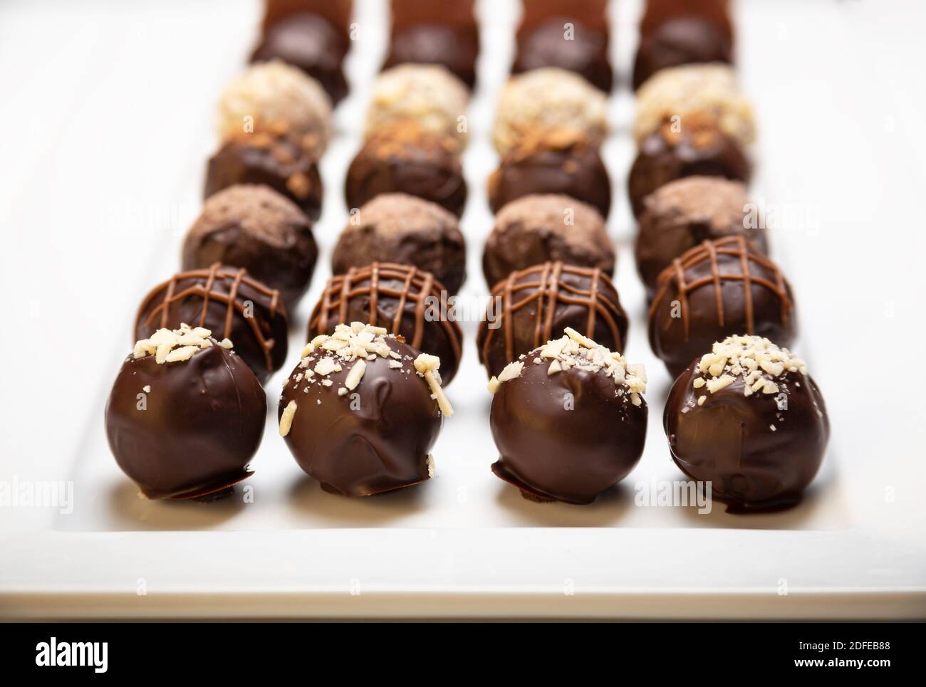 variété de bonbons de truffe au chocolat artisanal sur un blanc plaque Banque D'Images