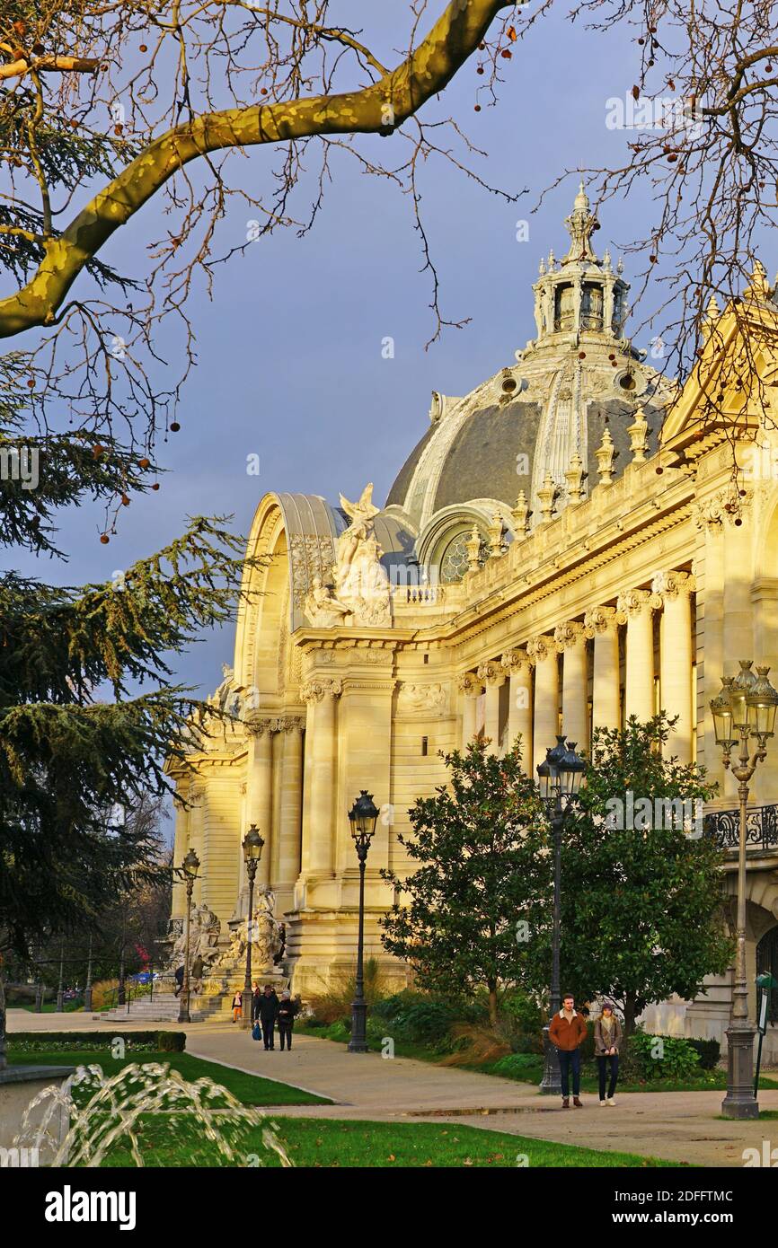 PARIS, FRANCE -20 DEC 2019- Construit pour l'exposition universelle de 1900, le petit Palais est aujourd'hui l'un des quatorze musées gérés directement par la ville de Banque D'Images