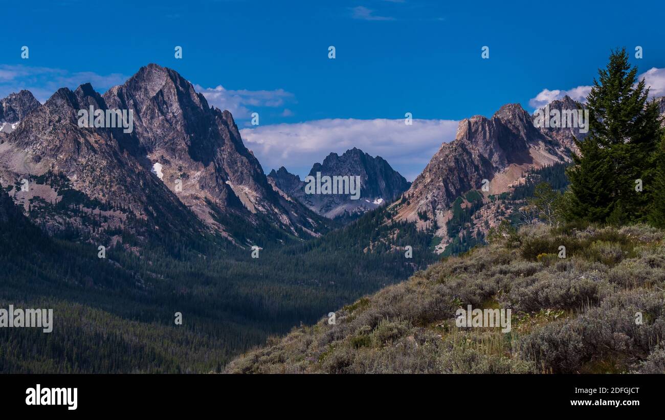 Fishhook Creek Valley, Marshall Lake Trail, Sawtooth National Recreational Area, Stanley (Idaho). Banque D'Images