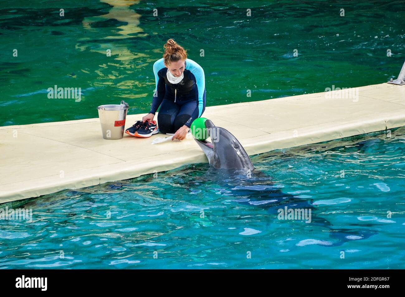 Le Marineland est un parc à thème situé à Antibes (Alpes-Maritimes), sur la Côte d'Azur. Sur 26 hectares, il comprend un parc zoologique marin avec delphinarium, un parc aquatique (Aquasplash), un parc de jeux pour enfants (Kidd's Island), un mini-golf (aventure Golf) et un hôtel trois étoiles (Marineland Resort). Elle est la propriété de la multinationale espagnole Parques Reunidos, dont l'actionnaire majoritaire est le fonds d'investissement britannique Arle Capital Partners. C'est l'un des quatre dolphinariums français et l'un des deux dolphinariums européens présentant des orques. Avec 1.2 millions de visiteurs en 2014, c'est le plus Banque D'Images