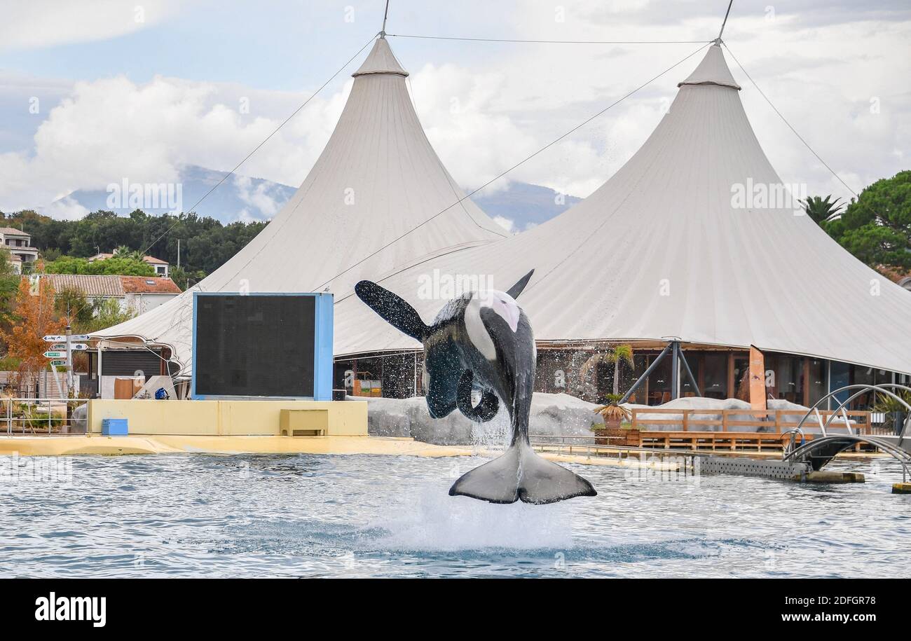Le Marineland est un parc à thème situé à Antibes (Alpes-Maritimes), sur la Côte d'Azur. Sur 26 hectares, il comprend un parc zoologique marin avec delphinarium, un parc aquatique (Aquasplash), un parc de jeux pour enfants (Kidd's Island), un mini-golf (aventure Golf) et un hôtel trois étoiles (Marineland Resort). Elle est la propriété de la multinationale espagnole Parques Reunidos, dont l'actionnaire majoritaire est le fonds d'investissement britannique Arle Capital Partners. C'est l'un des quatre dolphinariums français et l'un des deux dolphinariums européens présentant des orques. Avec 1.2 millions de visiteurs en 2014, c'est le plus Banque D'Images