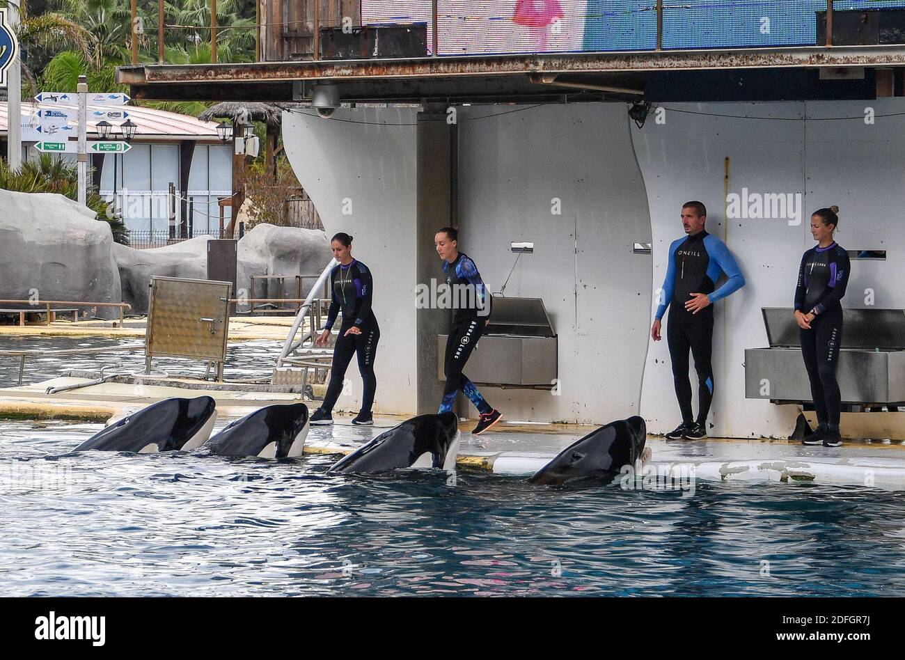 Le Marineland est un parc à thème situé à Antibes (Alpes-Maritimes), sur la Côte d'Azur. Sur 26 hectares, il comprend un parc zoologique marin avec delphinarium, un parc aquatique (Aquasplash), un parc de jeux pour enfants (Kidd's Island), un mini-golf (aventure Golf) et un hôtel trois étoiles (Marineland Resort). Elle est la propriété de la multinationale espagnole Parques Reunidos, dont l'actionnaire majoritaire est le fonds d'investissement britannique Arle Capital Partners. C'est l'un des quatre dolphinariums français et l'un des deux dolphinariums européens présentant des orques. Avec 1.2 millions de visiteurs en 2014, c'est le plus Banque D'Images