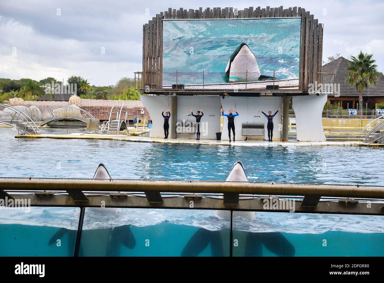 Le Marineland est un parc à thème situé à Antibes (Alpes-Maritimes), sur la Côte d'Azur. Sur 26 hectares, il comprend un parc zoologique marin avec delphinarium, un parc aquatique (Aquasplash), un parc de jeux pour enfants (Kidd's Island), un mini-golf (aventure Golf) et un hôtel trois étoiles (Marineland Resort). Elle est la propriété de la multinationale espagnole Parques Reunidos, dont l'actionnaire majoritaire est le fonds d'investissement britannique Arle Capital Partners. C'est l'un des quatre dolphinariums français et l'un des deux dolphinariums européens présentant des orques. Avec 1.2 millions de visiteurs en 2014, c'est le plus Banque D'Images