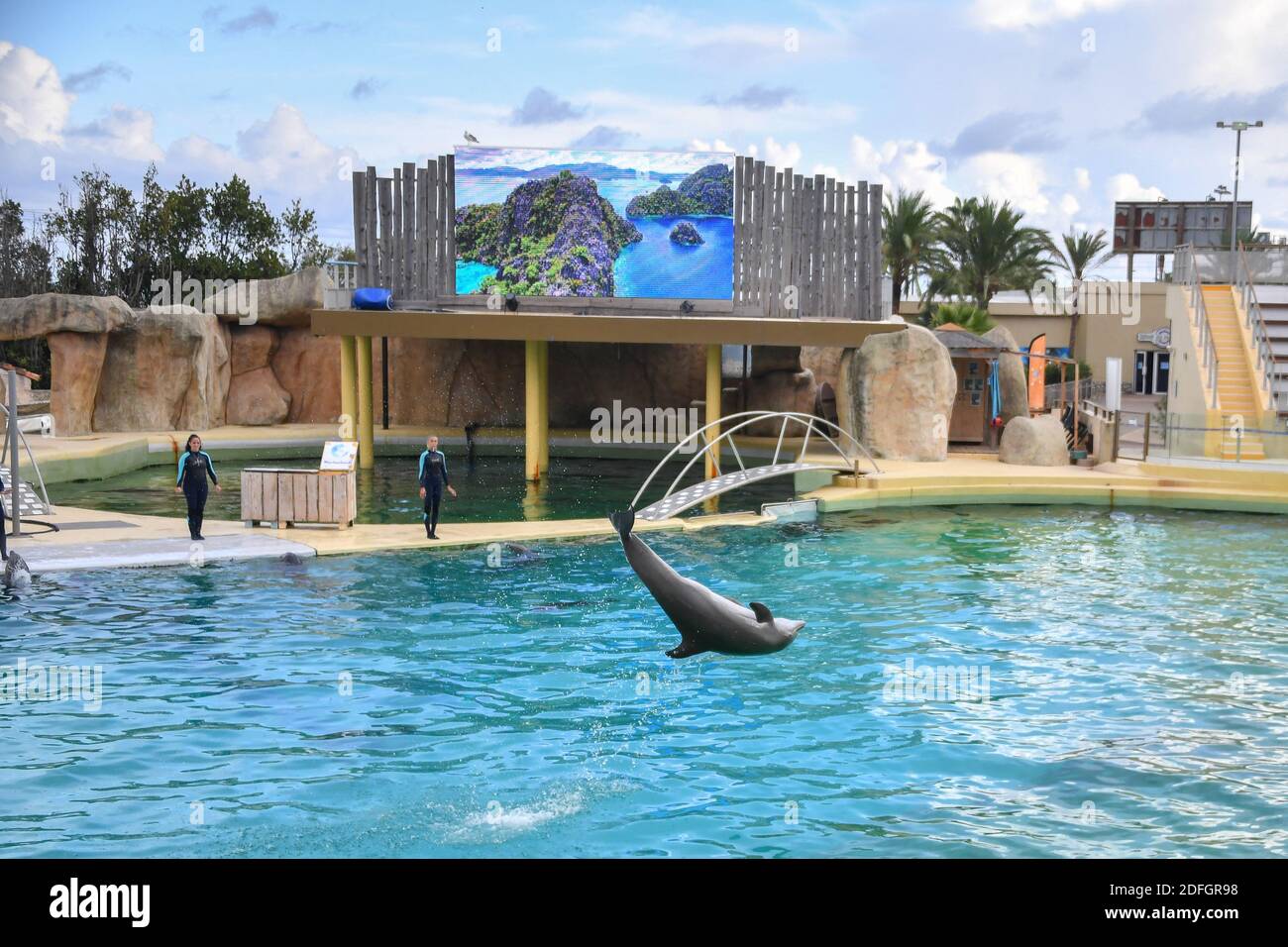 Le Marineland est un parc à thème situé à Antibes (Alpes-Maritimes), sur la Côte d'Azur. Sur 26 hectares, il comprend un parc zoologique marin avec delphinarium, un parc aquatique (Aquasplash), un parc de jeux pour enfants (Kidd's Island), un mini-golf (aventure Golf) et un hôtel trois étoiles (Marineland Resort). Elle est la propriété de la multinationale espagnole Parques Reunidos, dont l'actionnaire majoritaire est le fonds d'investissement britannique Arle Capital Partners. C'est l'un des quatre dolphinariums français et l'un des deux dolphinariums européens présentant des orques. Avec 1.2 millions de visiteurs en 2014, c'est le plus Banque D'Images