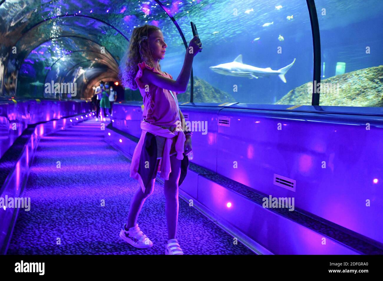 Le Marineland est un parc à thème situé à Antibes (Alpes-Maritimes), sur la Côte d'Azur. Sur 26 hectares, il comprend un parc zoologique marin avec delphinarium, un parc aquatique (Aquasplash), un parc de jeux pour enfants (Kidd's Island), un mini-golf (aventure Golf) et un hôtel trois étoiles (Marineland Resort). Elle est la propriété de la multinationale espagnole Parques Reunidos, dont l'actionnaire majoritaire est le fonds d'investissement britannique Arle Capital Partners. C'est l'un des quatre dolphinariums français et l'un des deux dolphinariums européens présentant des orques. Avec 1.2 millions de visiteurs en 2014, c'est le plus Banque D'Images