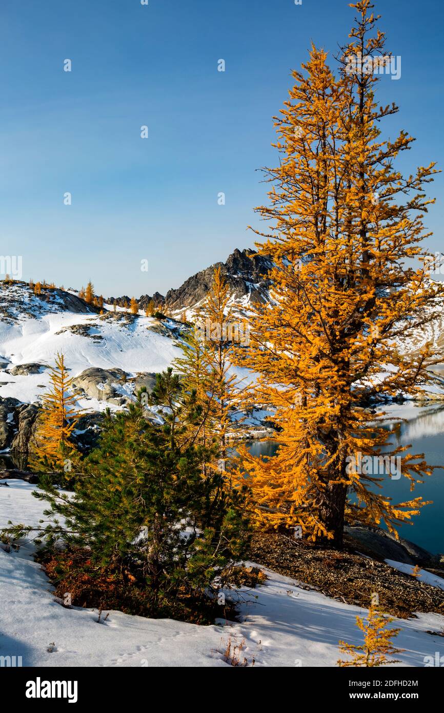 WA18667-00...WASHINGTON - temps d'automne à Upper Ice Lake, dans la région sauvage de Glacier Peak, dans la forêt nationale de Wenatchee. Banque D'Images