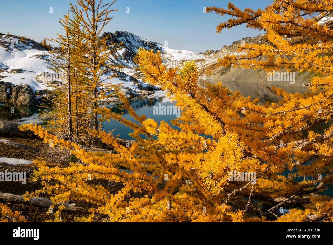 WA18668-05...WASHINGTON - temps d'automne à Upper Ice Lake, dans la région sauvage de Glacier Peak, dans la forêt nationale de Wenatchee. Banque D'Images