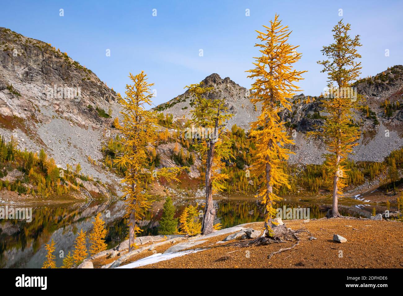 WA18690-00...WASHINGTON - automne à Lower Ice Lake dans la région sauvage de Glacier Peak. Banque D'Images