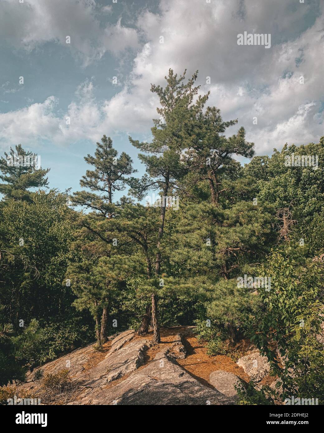 Vue depuis Table Rocks dans la réserve Mohonk, montagnes Shawangunk, New York Banque D'Images