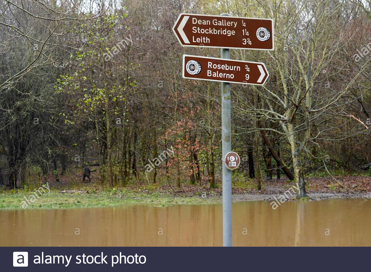 Édimbourg, Écosse, Royaume-Uni. 5 décembre 2020. La fonte de la neige et la pluie continue font éclater les berges sur l'eau de Leith qui coule rapidement et en crache avec de nombreux déversoirs et chutes d'eau débordant d'eau blanche turbulente et la passerelle impraticable dans les endroits nécessitant un détour. Inondation à Bell's Weir. Crédit : Craig Brown/Alay Live News Banque D'Images
