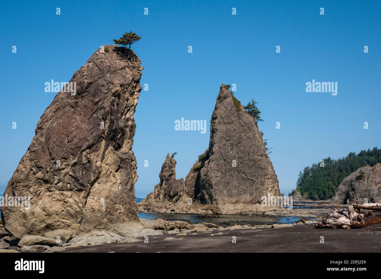 Plage du Rialto, Parc national olympique, Washington. Banque D'Images Plage du Rialto, Parc national olympique, Washington. Banque D'Images