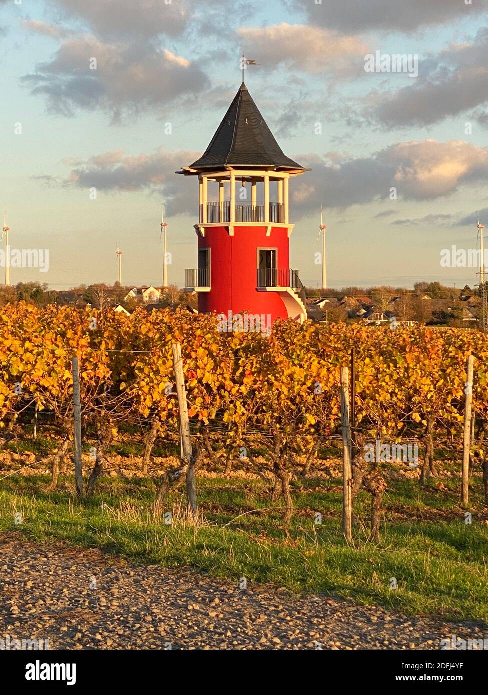 Paysage dans la région viticole de Rheinhessen avec le Vineyard rouge Turret près de Wörrstadt, Rhénanie-Palatinat, Allemagne Banque D'Images