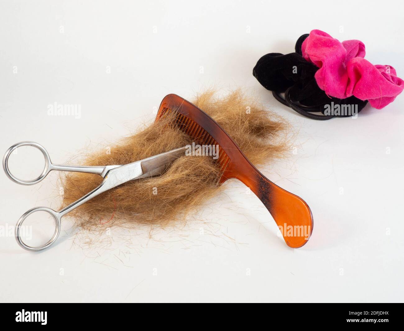 Touffe de poils Banque de photographies et d’images à haute résolution