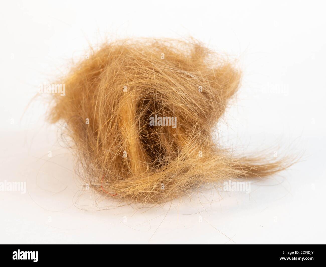 Touffe de poils Banque de photographies et d’images à haute résolution
