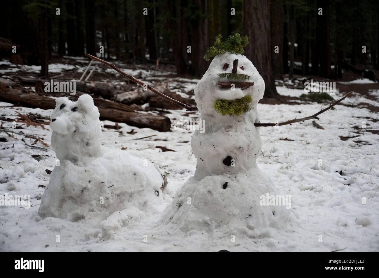Bonhomme de neige et chien de neige entouré de bois Banque D'Images
