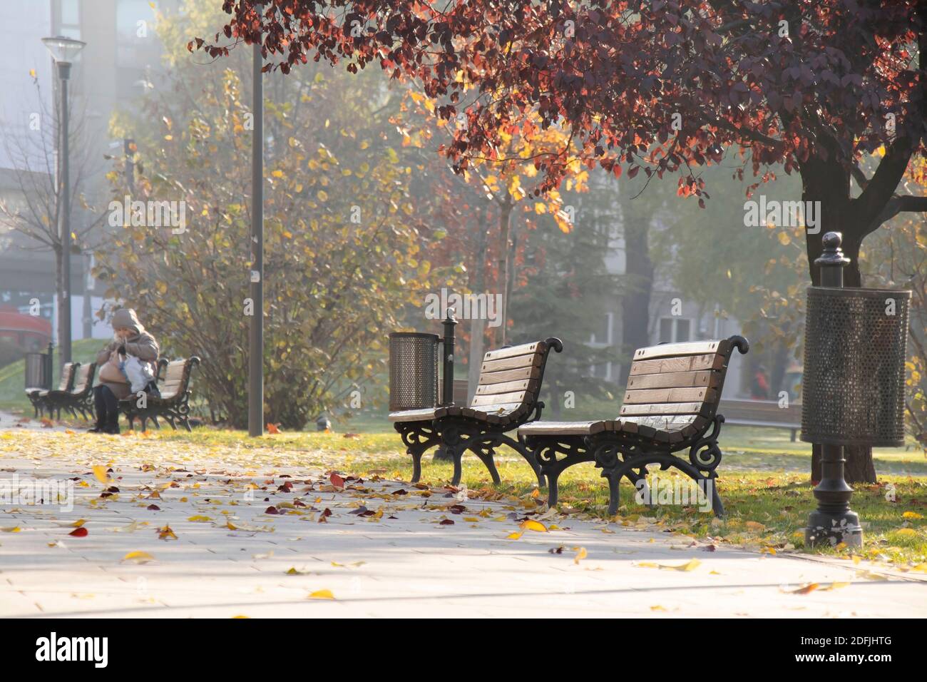 Belgrade, Serbie - 1 décembre 2020 : bancs sur le chemin pavé dans un parc public, le matin d'automne ensoleillé et brumeux avec des feuilles mortes Banque D'Images