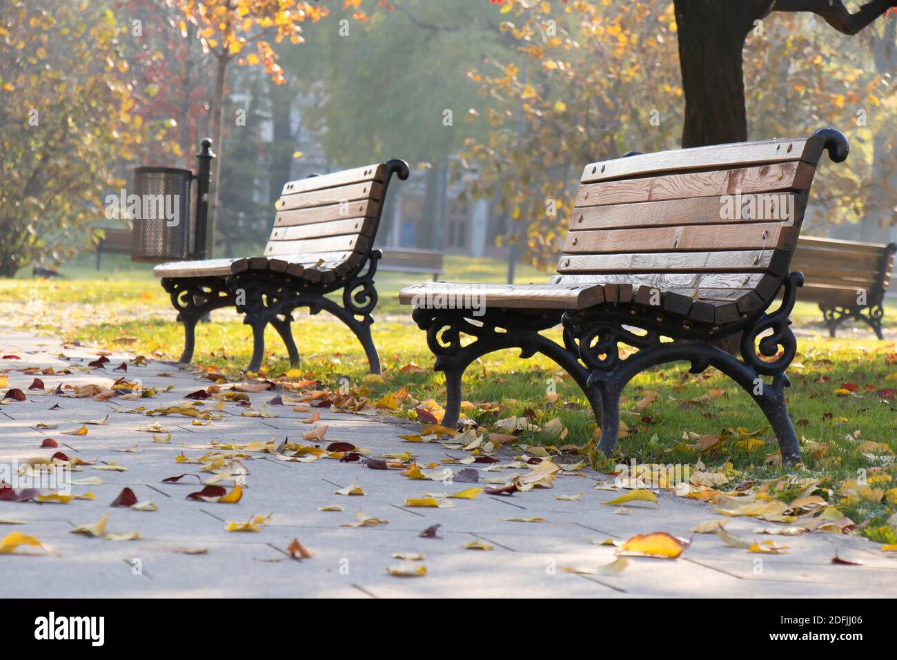 Deux bancs en bois et en fer vides dans le parc public un matin ensoleillé  d'automne avec des feuilles mortes Photo Stock - Alamy